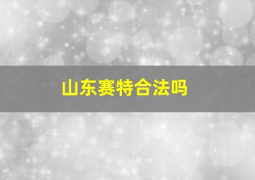 山东赛特合法吗