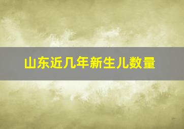 山东近几年新生儿数量