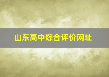 山东高中综合评价网址