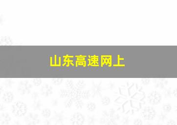 山东高速网上