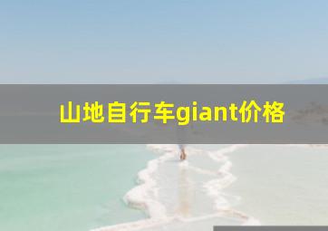 山地自行车giant价格