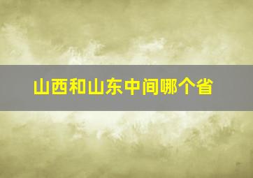 山西和山东中间哪个省