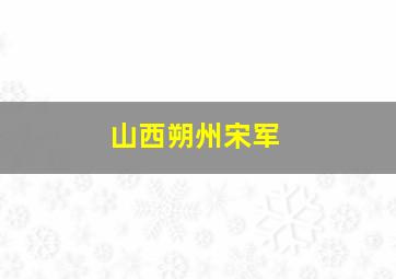 山西朔州宋军