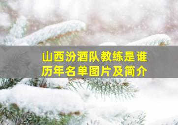 山西汾酒队教练是谁历年名单图片及简介