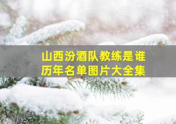 山西汾酒队教练是谁历年名单图片大全集