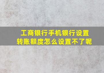 工商银行手机银行设置转账额度怎么设置不了呢