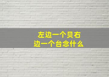 左边一个贝右边一个台念什么