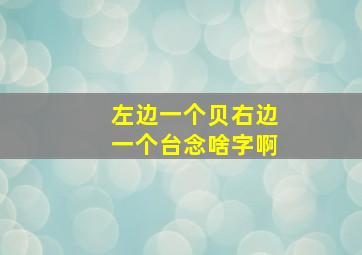 左边一个贝右边一个台念啥字啊