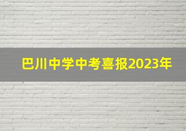 巴川中学中考喜报2023年