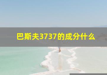 巴斯夫3737的成分什么