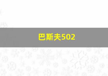 巴斯夫502