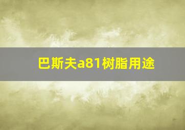 巴斯夫a81树脂用途