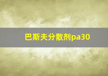 巴斯夫分散剂pa30