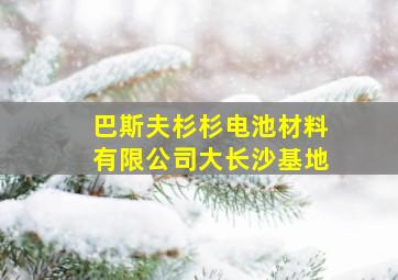 巴斯夫杉杉电池材料有限公司大长沙基地