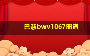 巴赫bwv1067曲谱