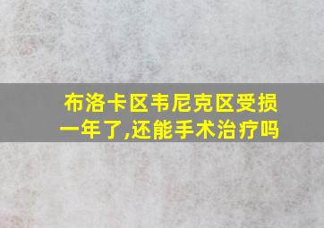 布洛卡区韦尼克区受损一年了,还能手术治疗吗