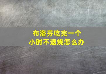 布洛芬吃完一个小时不退烧怎么办