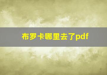 布罗卡哪里去了pdf