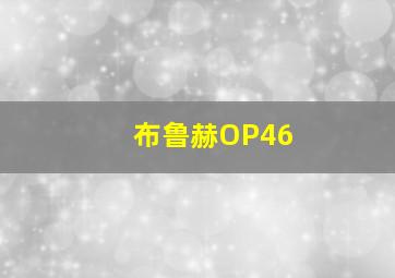 布鲁赫OP46