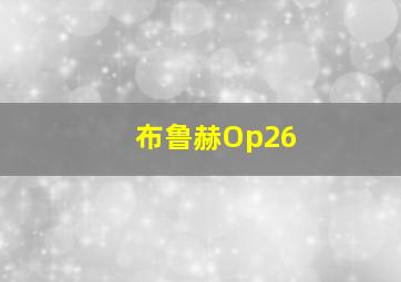 布鲁赫Op26