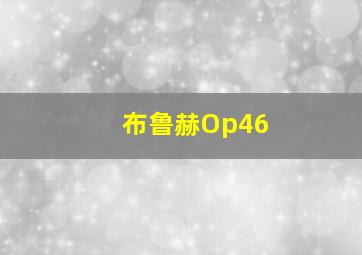 布鲁赫Op46