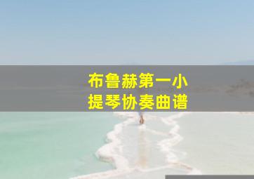 布鲁赫第一小提琴协奏曲谱