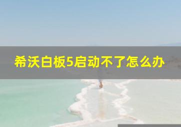 希沃白板5启动不了怎么办