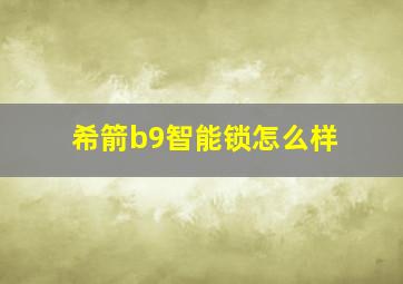 希箭b9智能锁怎么样