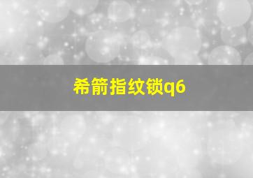 希箭指纹锁q6