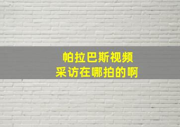 帕拉巴斯视频采访在哪拍的啊