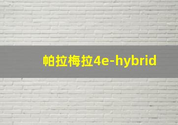 帕拉梅拉4e-hybrid