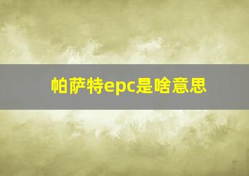 帕萨特epc是啥意思