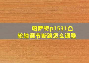 帕萨特p1531凸轮轴调节断路怎么调整