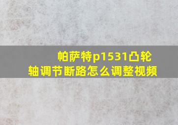 帕萨特p1531凸轮轴调节断路怎么调整视频