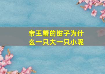 帝王蟹的钳子为什么一只大一只小呢