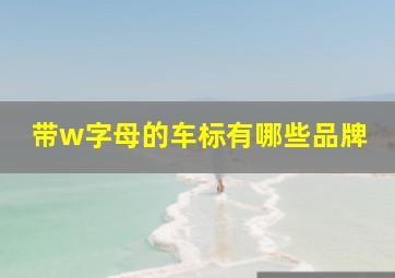 带w字母的车标有哪些品牌