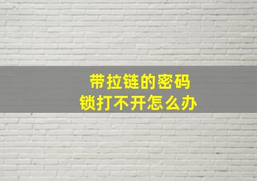 带拉链的密码锁打不开怎么办