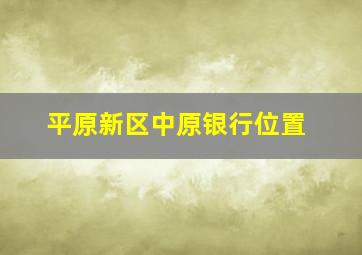 平原新区中原银行位置