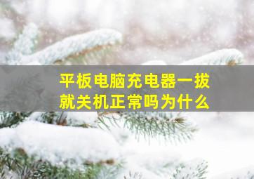 平板电脑充电器一拔就关机正常吗为什么