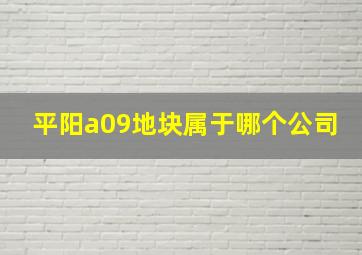 平阳a09地块属于哪个公司