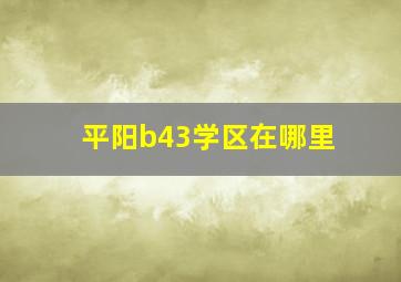 平阳b43学区在哪里