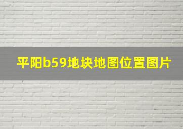 平阳b59地块地图位置图片