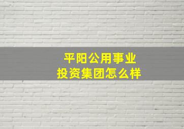 平阳公用事业投资集团怎么样