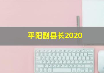 平阳副县长2020