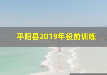 平阳县2019年役前训练