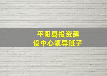 平阳县投资建设中心领导班子