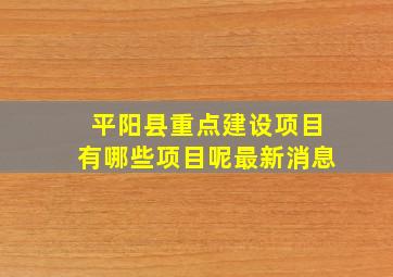 平阳县重点建设项目有哪些项目呢最新消息