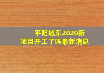 平阳城东2020新项目开工了吗最新消息