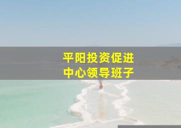 平阳投资促进中心领导班子