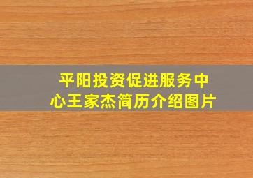 平阳投资促进服务中心王家杰简历介绍图片